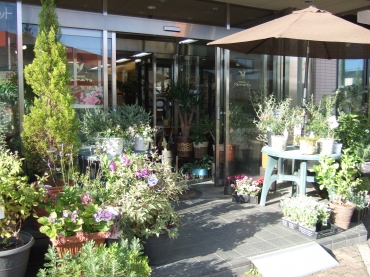 「花のヤマト」　（秋田県秋田市）の花屋店舗写真2